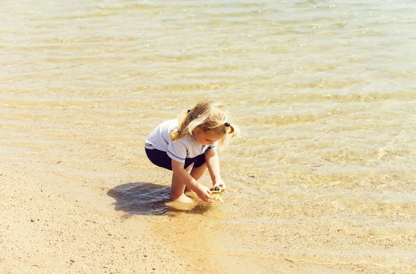 Lindo bebé jugando con concha marina en la playa en el mar — Foto de Stock