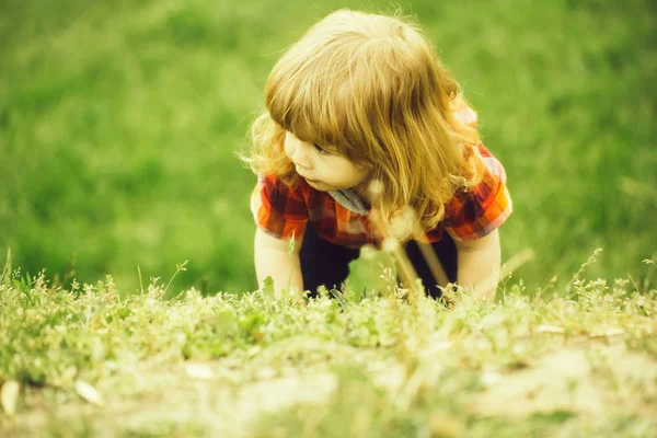 緑の芝生の上の小さな男の子 — ストック写真