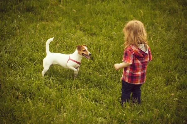 Μικρό αγόρι για την πράσινη χλόη με σκύλο — Φωτογραφία Αρχείου