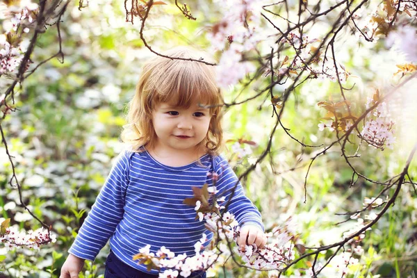 Little boy with blossom — Stock Photo, Image
