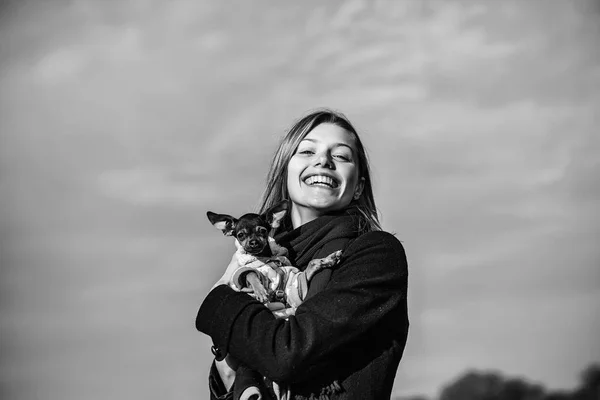 Pretty girl holds toy terrier — Stock Photo, Image