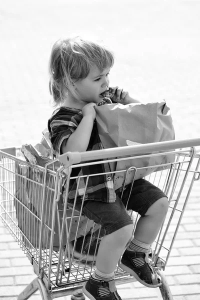 Carino ragazzo nel carrello della spesa — Foto Stock