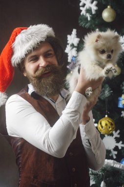 Noel Baba adam ile evde beslenen hayvan, ağaç.