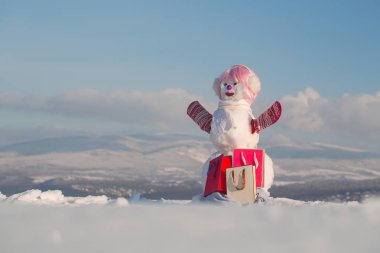 Xmas veya Noel partisi, paketi mevcut.