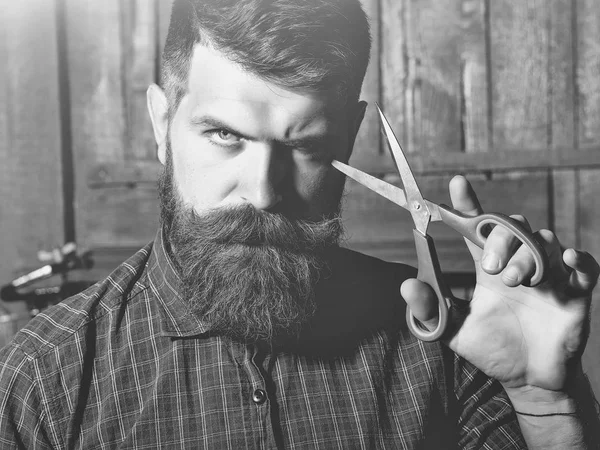 bearded man barber with scissors