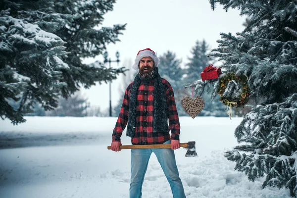 Homem de ano novo na floresta fria nevada com caixa de presente . — Fotografia de Stock