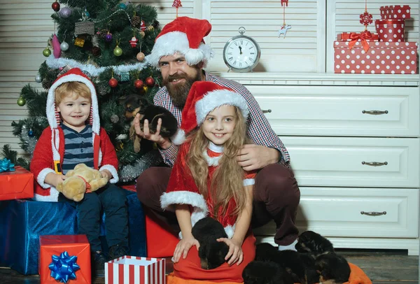 Happy family celebrate new year and Christmas.