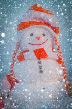 Kardan adam ile şapka ve atkı