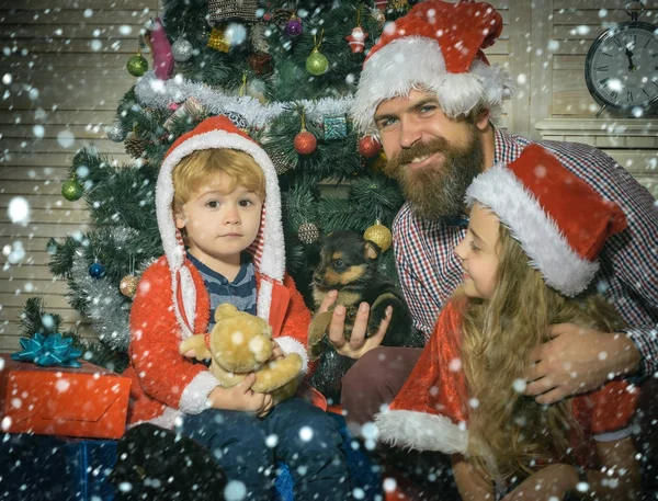 크리스마스 행복 한 아이 들과 강아지와 함께 아버지 — 스톡 사진