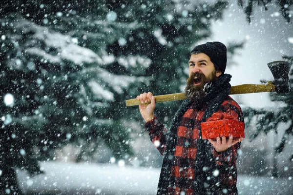 Celebração de férias de inverno . — Fotografia de Stock