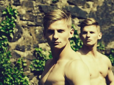 Taşlı duvar zemin üzerinde Kas İkizler