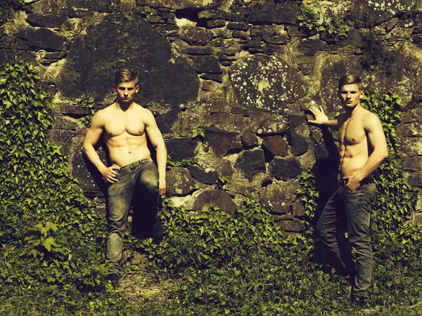 Taşlı duvar zemin üzerinde Kas İkizler