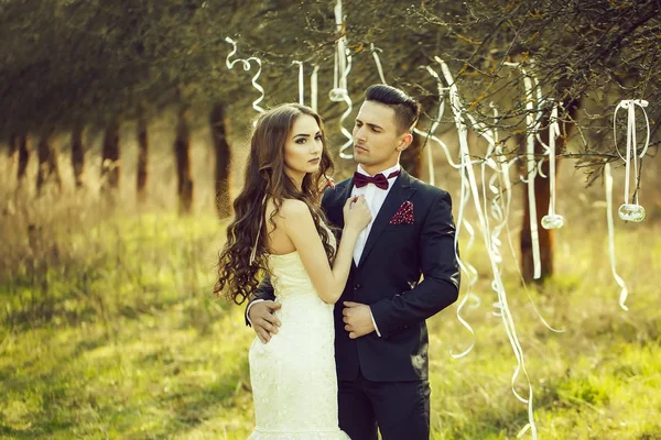 Boda pareja y cintas en el árbol — Foto de Stock