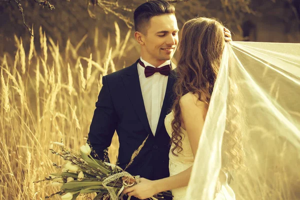 Wedding embracing couple — Stock Photo, Image