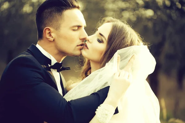 Kissing wedding couple — Stock Photo, Image