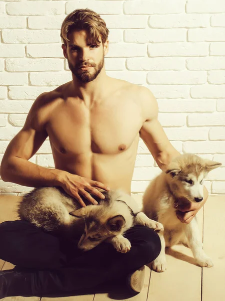 섹시 한 몸매와 근육 질의 남자 거친 개, 강아지 애완 동물 보유 — 스톡 사진