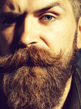 ciddi sakallı adam hipster