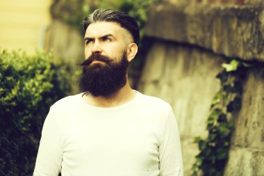 Şık sakallı adam açık