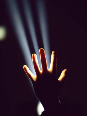 El hareketi spotlight içinde