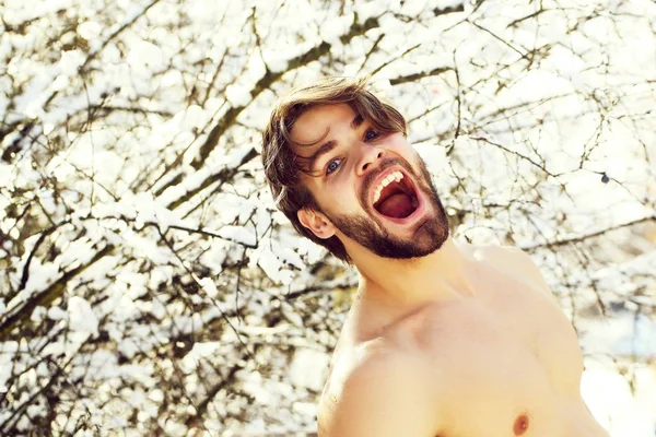 Gelukkig gespierde man in winter forest — Stockfoto