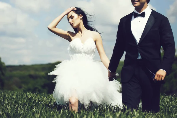 Krásná nevěsta a pohledný ženich — Stock fotografie