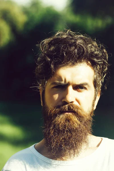 yakışıklı sakallı adam güneşli açık