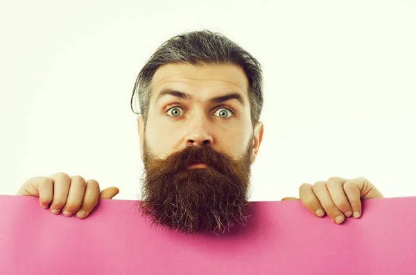 Verbaasd bebaarde man hipster met violet papier geïsoleerd op whit — Stockfoto