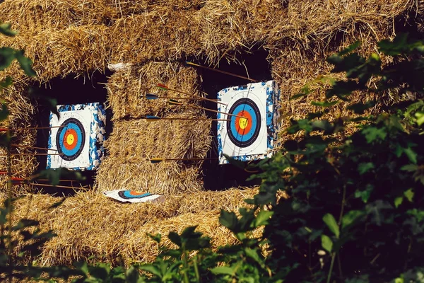 Archery targets with arrows