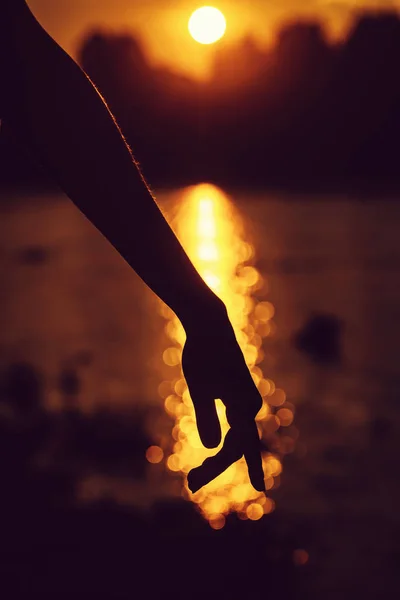 Female hand on beautiful sunset — Stock Photo, Image