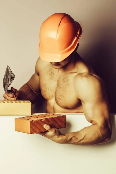 sexy muscular man builder