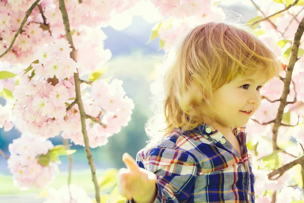 Menino pequeno em flor — Fotografia de Stock