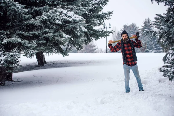 Wintervakantie en viering. — Stockfoto