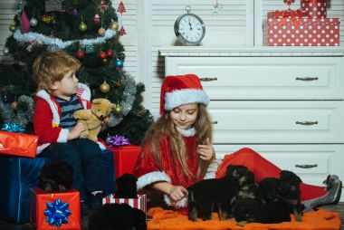 Kış tatili, köpek yıl.