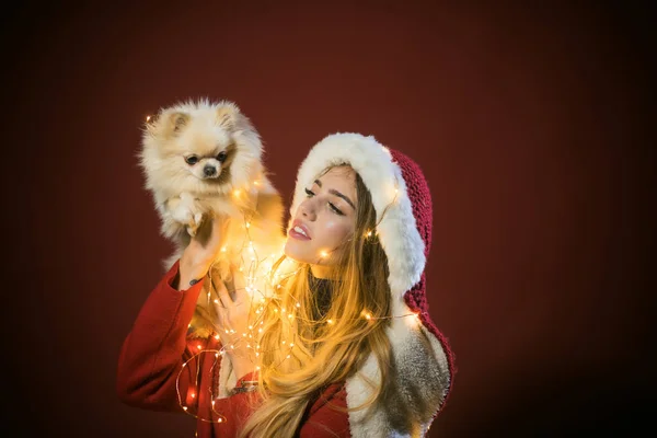 性感的女孩与博美斯皮茨狗在圣诞节. — 图库照片