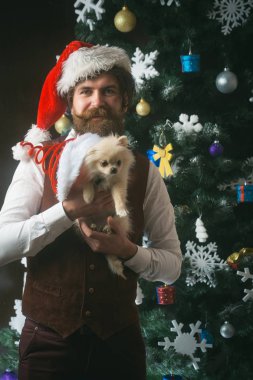 Parti kutlama ve Noel.