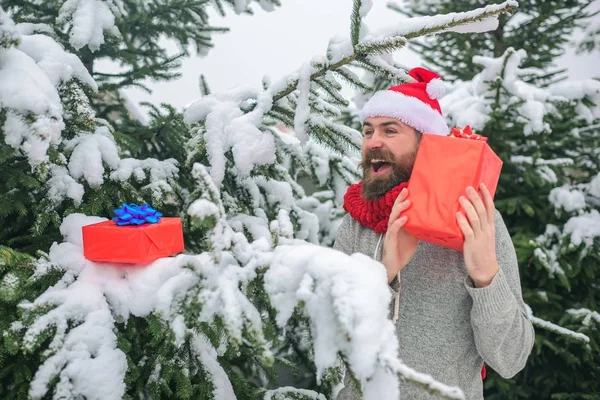 Hipster-Weihnachtsmann am Weihnachtsbaum im verschneiten Winterwald. — Stockfoto