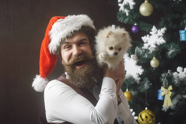 Santa claus man met huisdier op boom. — Stockfoto