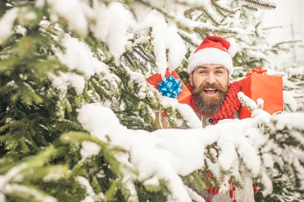 Hipster santa Noel ağacının karlı kış orman. — Stok fotoğraf