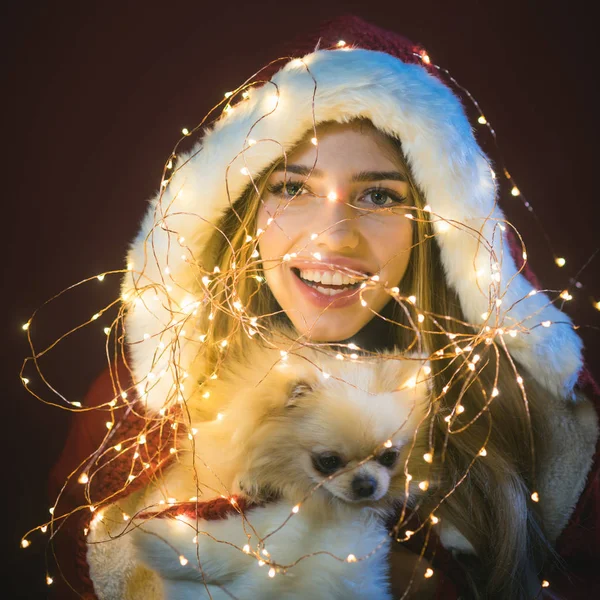 New year of dog, miracle and gift wonder. — Stock Photo, Image