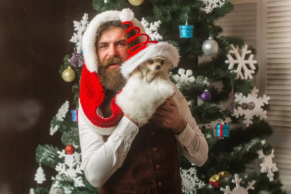 Christmas man with beard on happy face and pet. — Stock Photo, Image