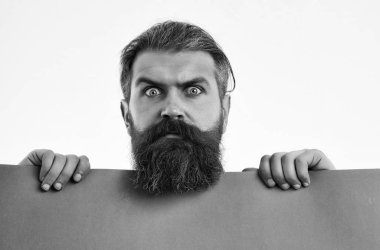 ciddi sakallı adam hipster mor kağıt üzerinde beyaz izole ile