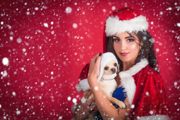 Menina e cachorro chihuahua em chapéus de santa no fundo vermelho — Fotografia de Stock