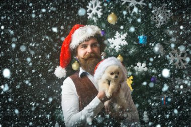 Mutlu yüz ve evde beslenen hayvan sakallı Noel adam.