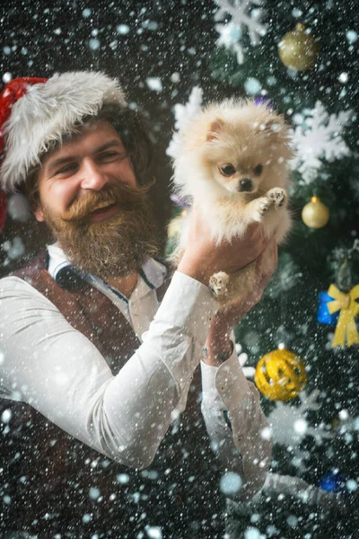 Hundejahr, Weihnachten Mann halten Haustier — Stockfoto