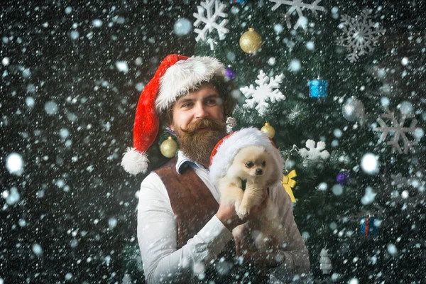 Christmas man with beard on happy face and pet.