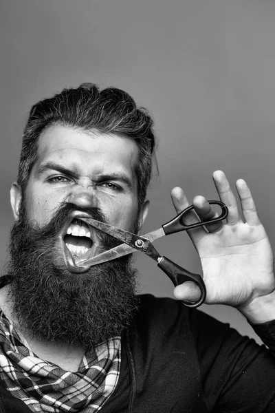 Homem barbudo com tesoura de cabeleireiro — Fotografia de Stock