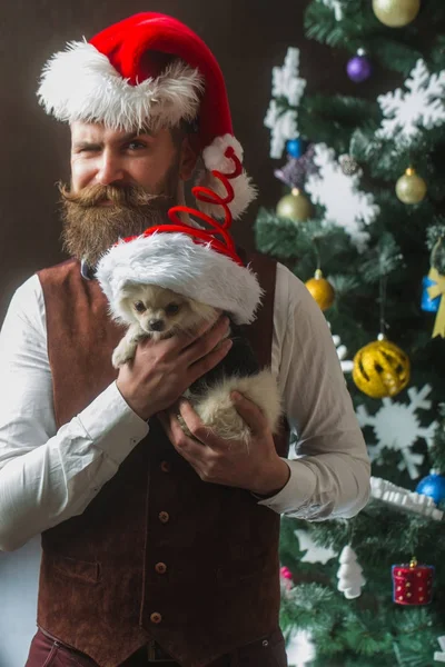 Mutlu yüz ve evde beslenen hayvan sakallı Noel adam.