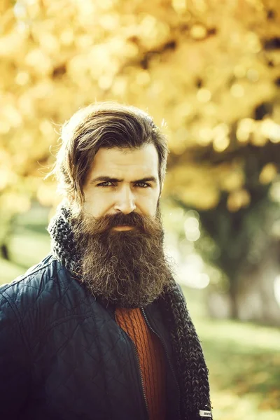Бородатий чоловік в осінньому парку — стокове фото