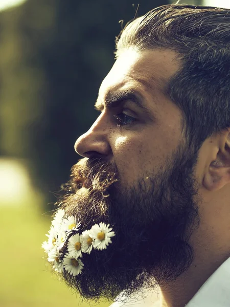 Homem bonito com flores na barba — Fotografia de Stock