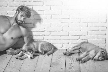 muscular man with sexy body holds husky dogs, puppy pets clipart